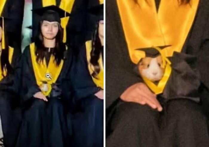 53 Animals Who Never Planned To Be Funny, As Shared By This Facebook Page