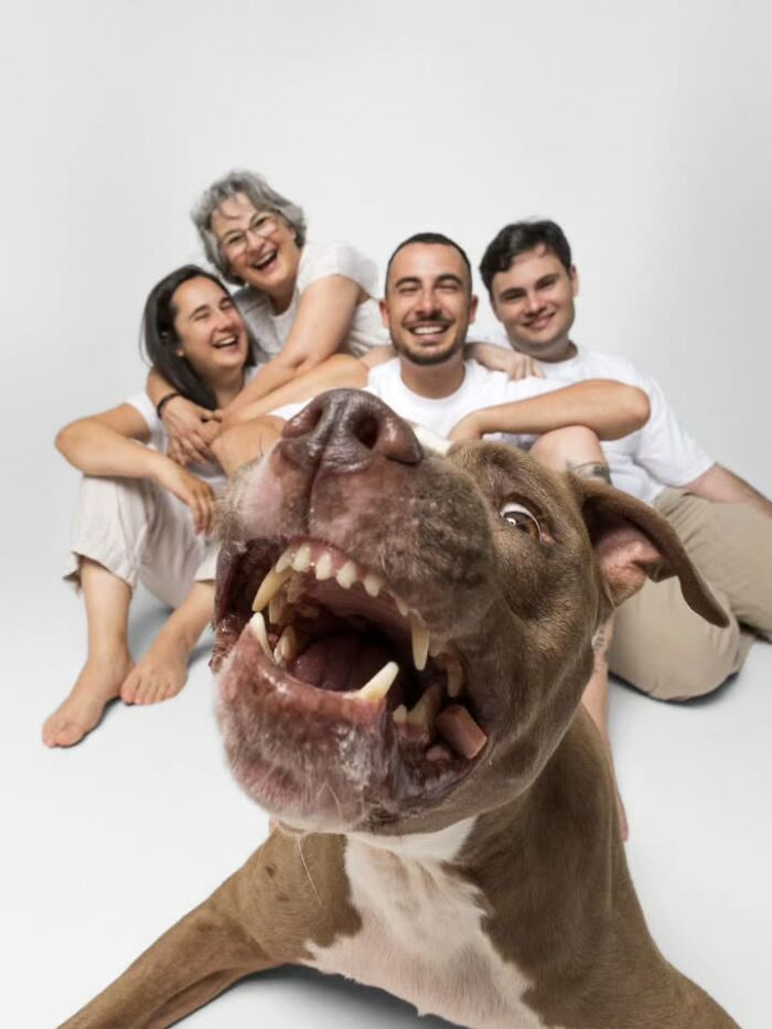 This Page Shared 63 New Photos That Show Why We&rsquo;ll Never Get Tired Of Cats And Dogs