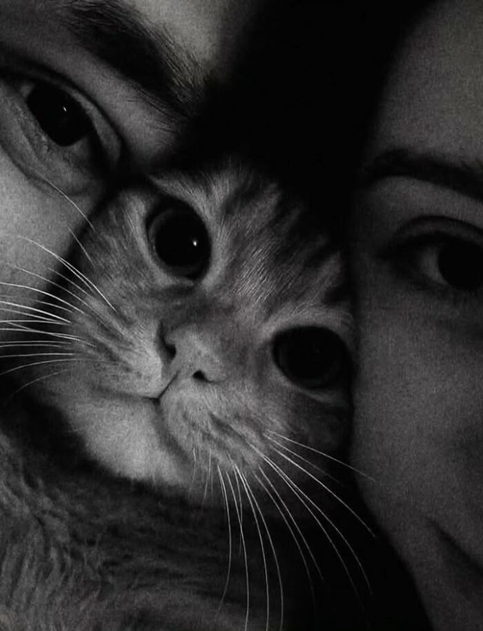 This Page Shared 63 New Photos That Show Why We&rsquo;ll Never Get Tired Of Cats And Dogs