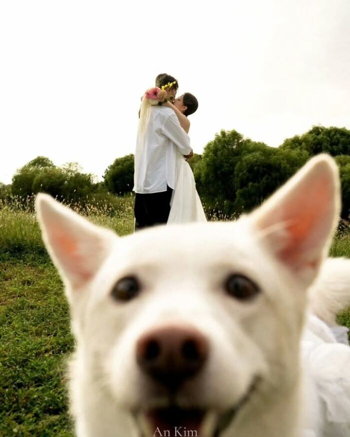 This Page Shared 63 New Photos That Show Why We&rsquo;ll Never Get Tired Of Cats And Dogs