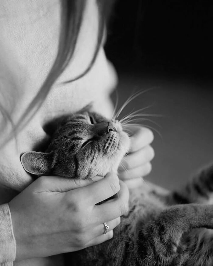 This Page Shared 63 New Photos That Show Why We&rsquo;ll Never Get Tired Of Cats And Dogs
