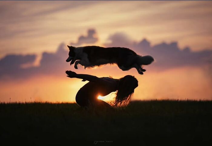 This Page Shared 63 New Photos That Show Why We&rsquo;ll Never Get Tired Of Cats And Dogs