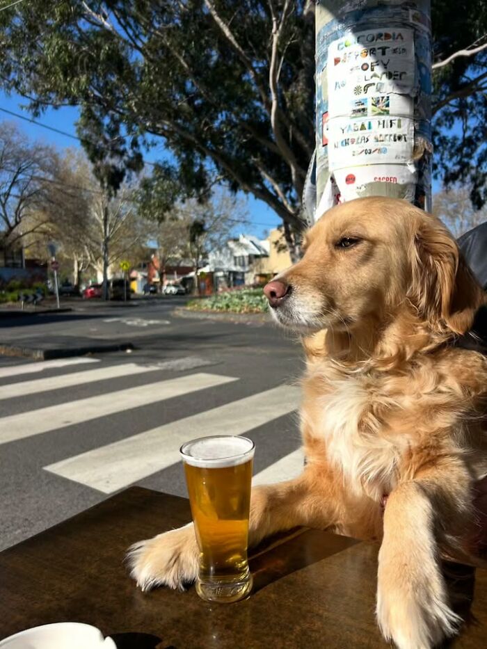 This Page Shared 63 New Photos That Show Why We&rsquo;ll Never Get Tired Of Cats And Dogs
