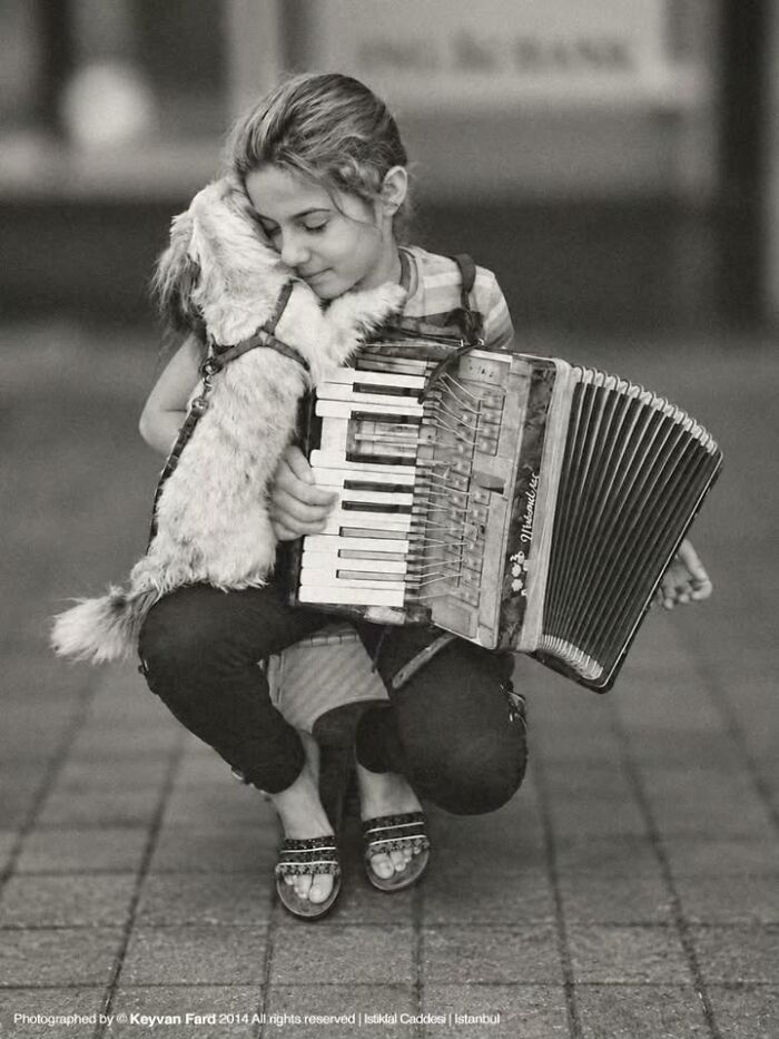 This Page Shared 63 New Photos That Show Why We&rsquo;ll Never Get Tired Of Cats And Dogs