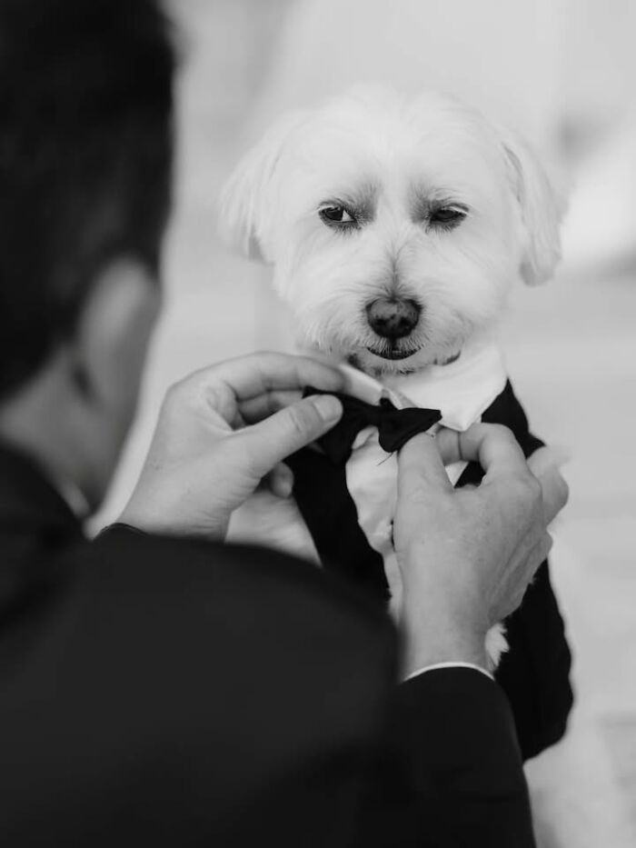 This Page Shared 63 New Photos That Show Why We&rsquo;ll Never Get Tired Of Cats And Dogs