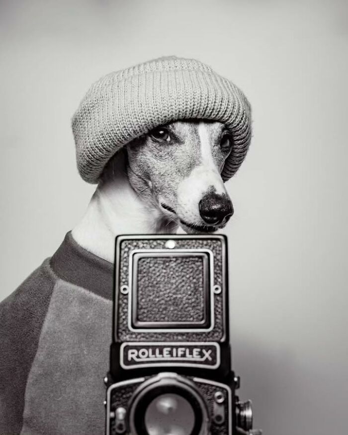 This Page Shared 63 New Photos That Show Why We&rsquo;ll Never Get Tired Of Cats And Dogs