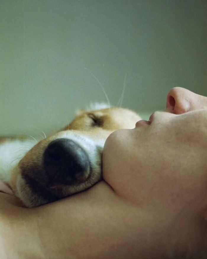 This Page Shared 63 New Photos That Show Why We&rsquo;ll Never Get Tired Of Cats And Dogs