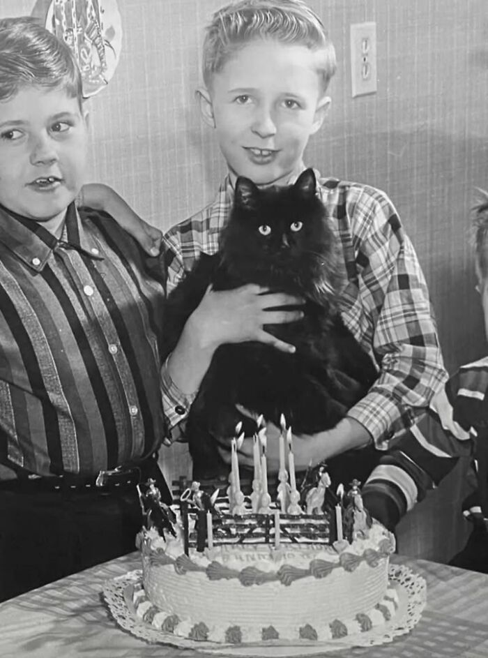 This Page Shared 39 New Adorable Vintage Photos Of Children With Their Cats