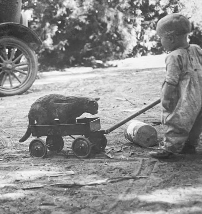 This Page Shared 39 New Adorable Vintage Photos Of Children With Their Cats