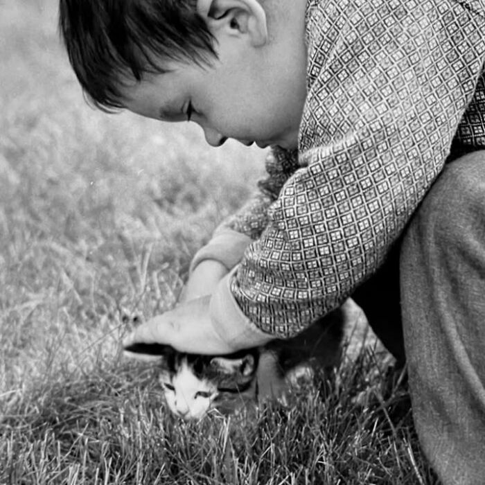 This Page Shared 39 New Adorable Vintage Photos Of Children With Their Cats