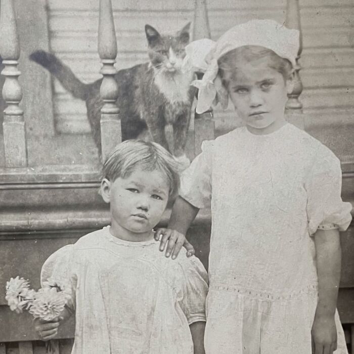 This Page Shared 39 New Adorable Vintage Photos Of Children With Their Cats