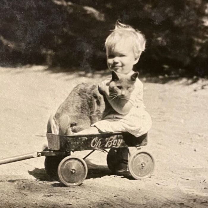 This Page Shared 39 New Adorable Vintage Photos Of Children With Their Cats