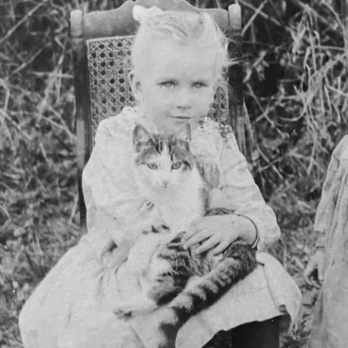 This Page Shared 39 New Adorable Vintage Photos Of Children With Their Cats