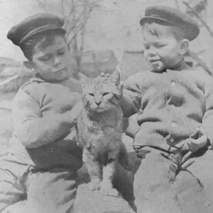 This Page Shared 39 New Adorable Vintage Photos Of Children With Their Cats