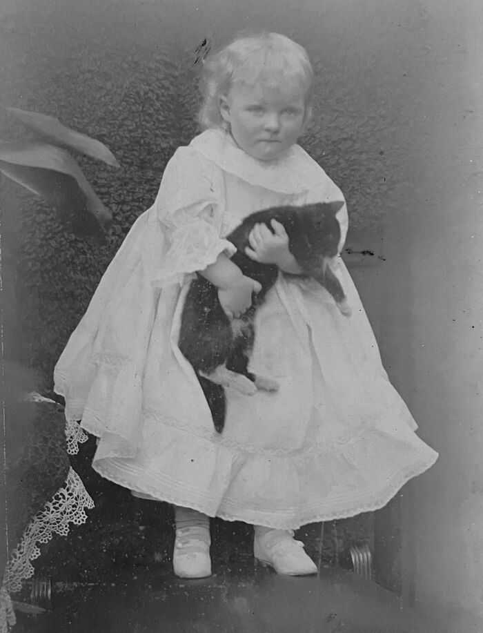 This Page Shared 39 New Adorable Vintage Photos Of Children With Their Cats