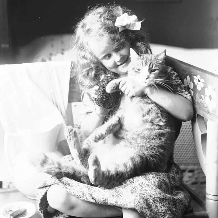 This Page Shared 39 New Adorable Vintage Photos Of Children With Their Cats