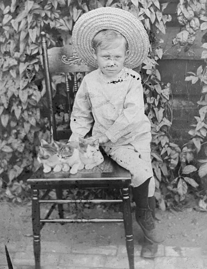 This Page Shared 39 New Adorable Vintage Photos Of Children With Their Cats