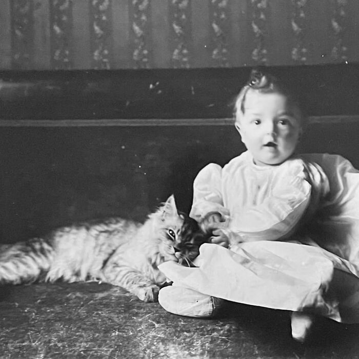 This Page Shared 39 New Adorable Vintage Photos Of Children With Their Cats
