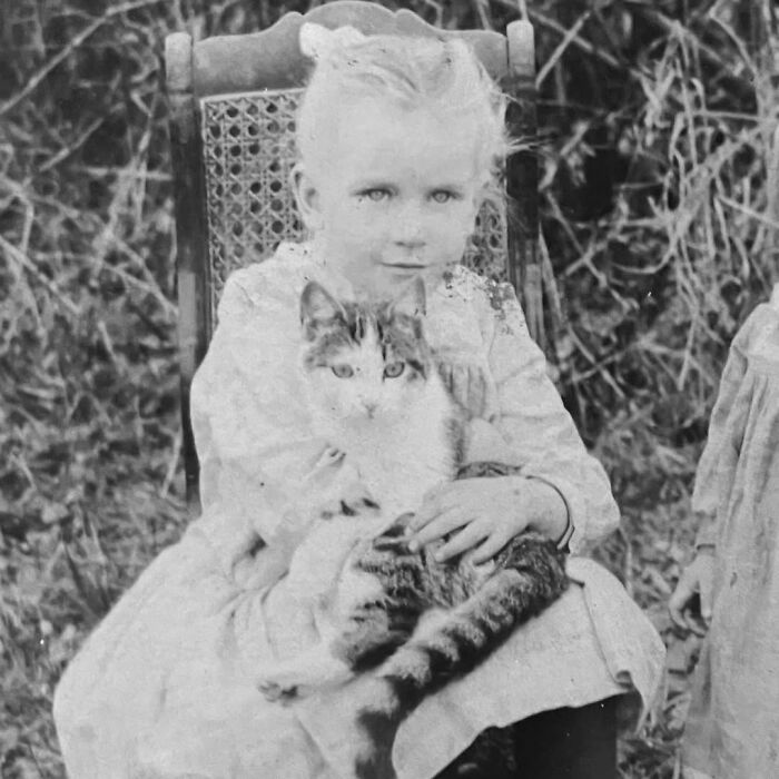 This Page Shared 39 New Adorable Vintage Photos Of Children With Their Cats