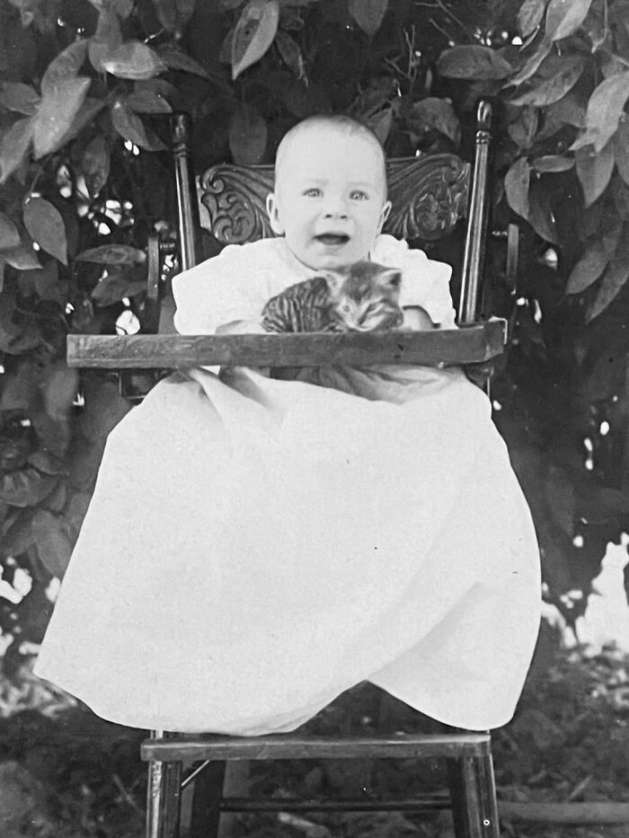 This Page Shared 39 New Adorable Vintage Photos Of Children With Their Cats