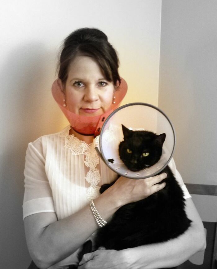 39 Times Family Photos With Cats Went Hilariously Wrong, As Shared By This Page