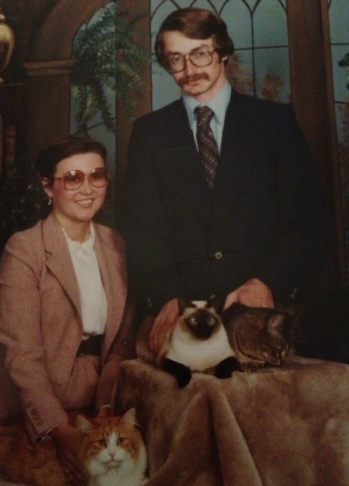 39 Times Family Photos With Cats Went Hilariously Wrong, As Shared By This Page