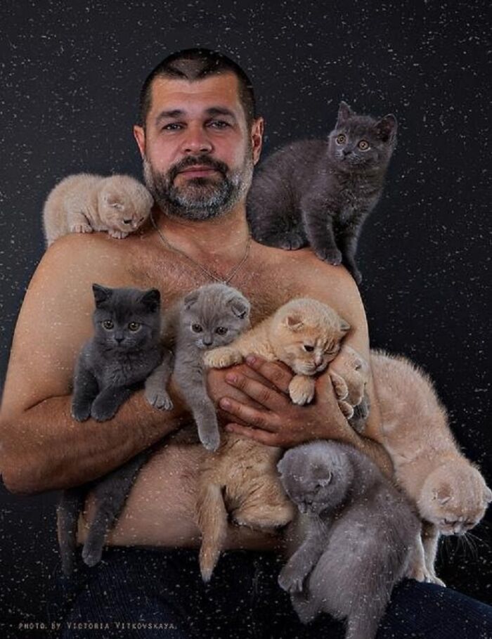 39 Times Family Photos With Cats Went Hilariously Wrong, As Shared By This Page