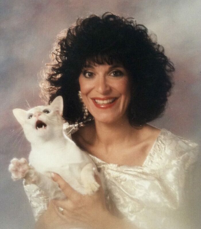 39 Times Family Photos With Cats Went Hilariously Wrong, As Shared By This Page