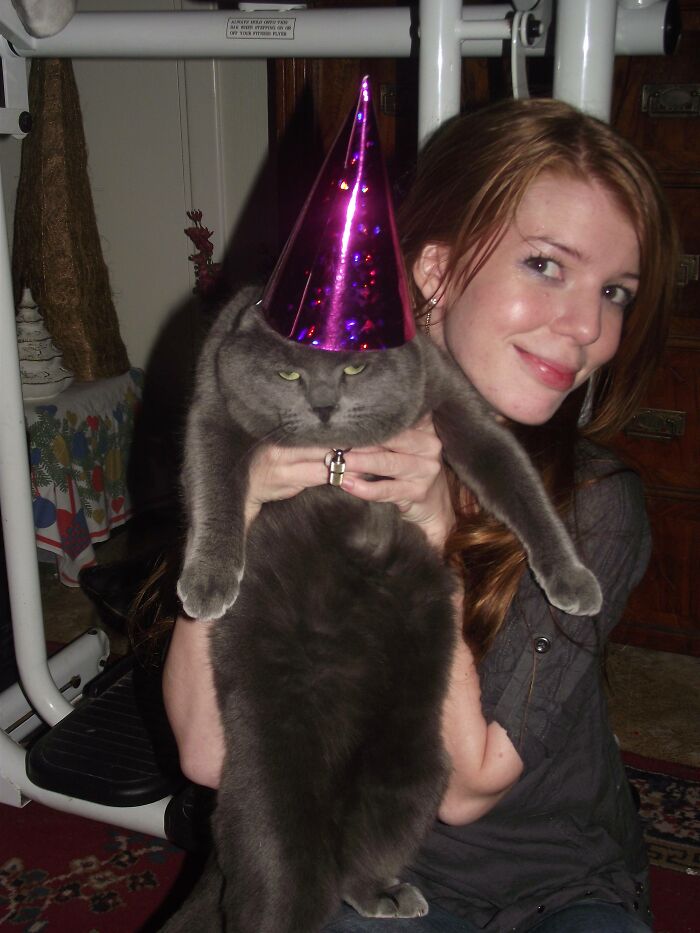 39 Times Family Photos With Cats Went Hilariously Wrong, As Shared By This Page