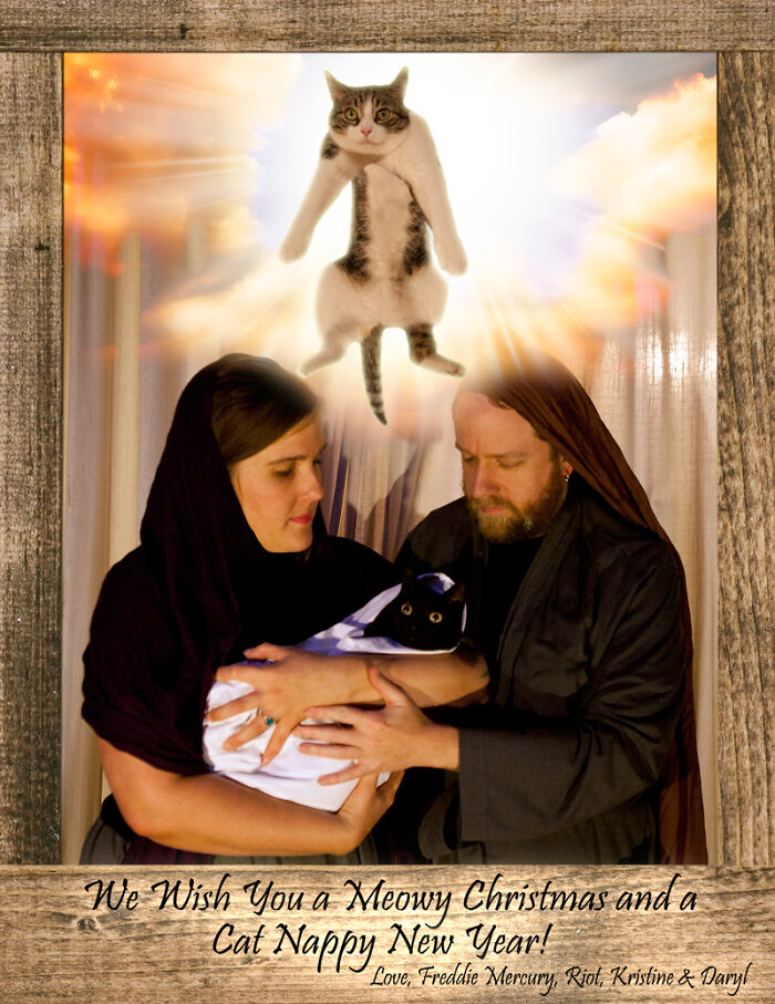 39 Times Family Photos With Cats Went Hilariously Wrong, As Shared By This Page