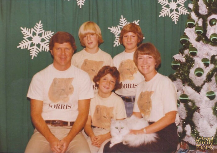 39 Times Family Photos With Cats Went Hilariously Wrong, As Shared By This Page