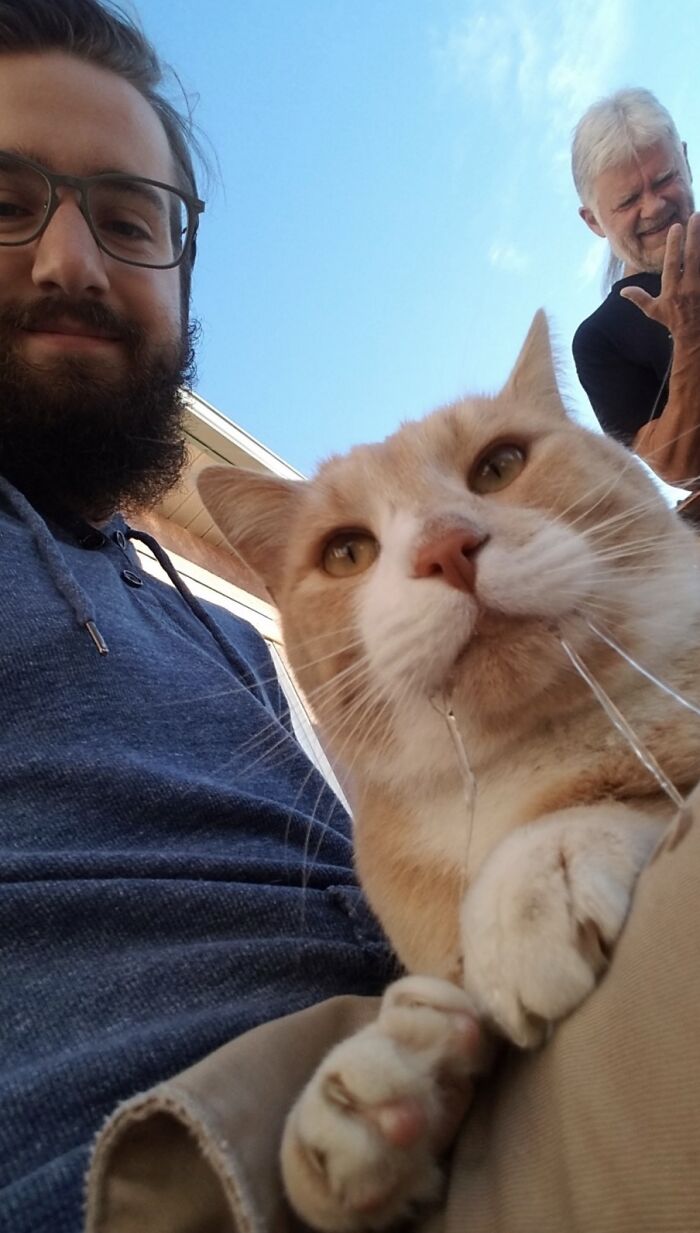 39 Times Family Photos With Cats Went Hilariously Wrong, As Shared By This Page
