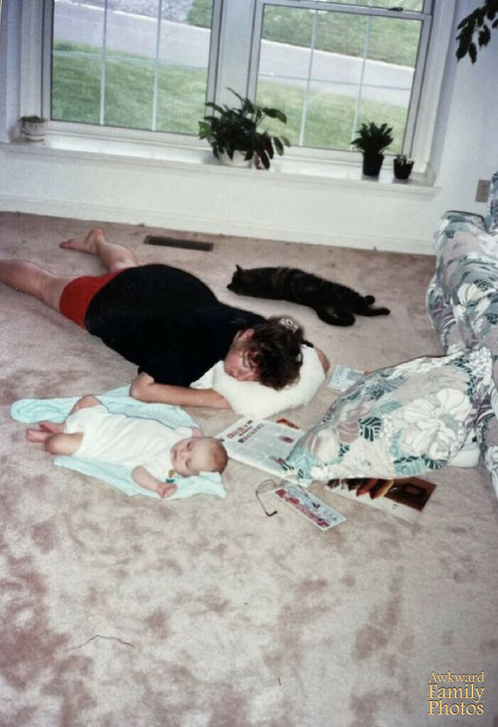 39 Times Family Photos With Cats Went Hilariously Wrong, As Shared By This Page