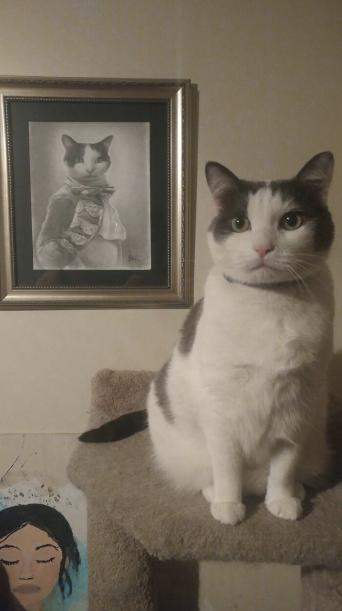 39 Times Family Photos With Cats Went Hilariously Wrong, As Shared By This Page