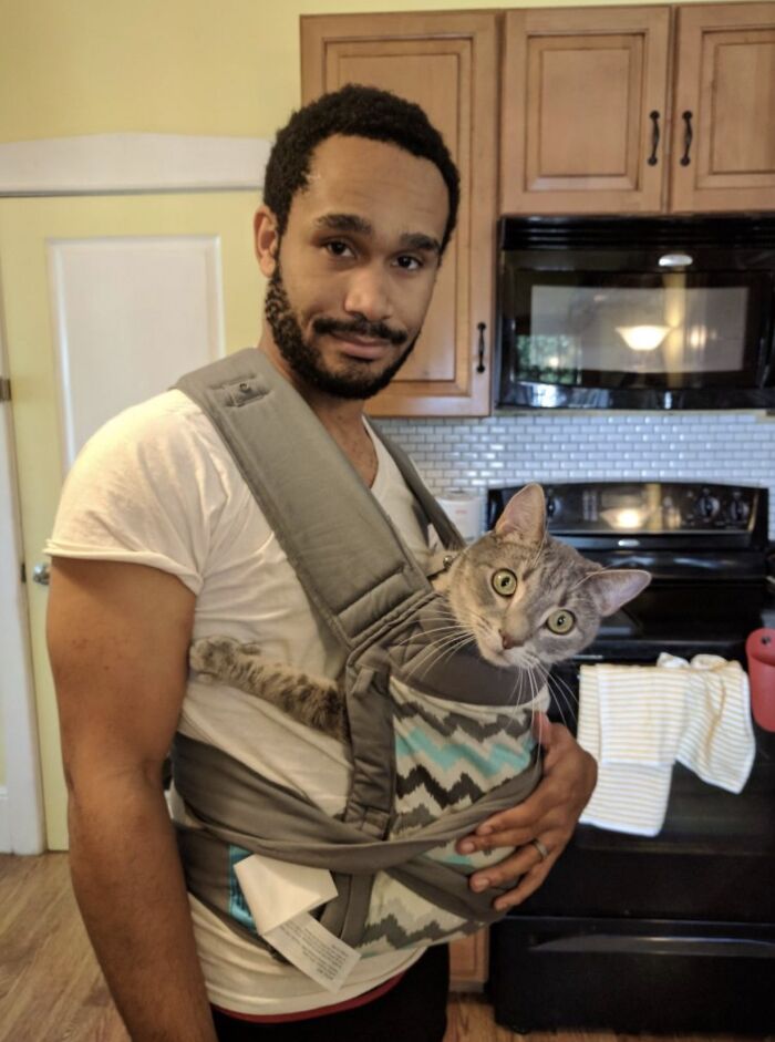 39 Times Family Photos With Cats Went Hilariously Wrong, As Shared By This Page