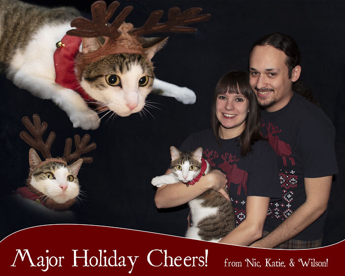 39 Times Family Photos With Cats Went Hilariously Wrong, As Shared By This Page