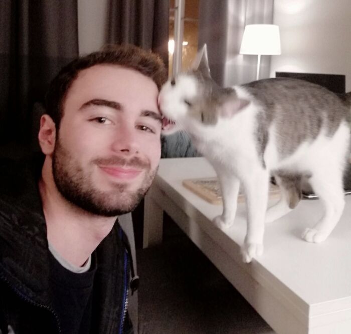 39 Times Family Photos With Cats Went Hilariously Wrong, As Shared By This Page
