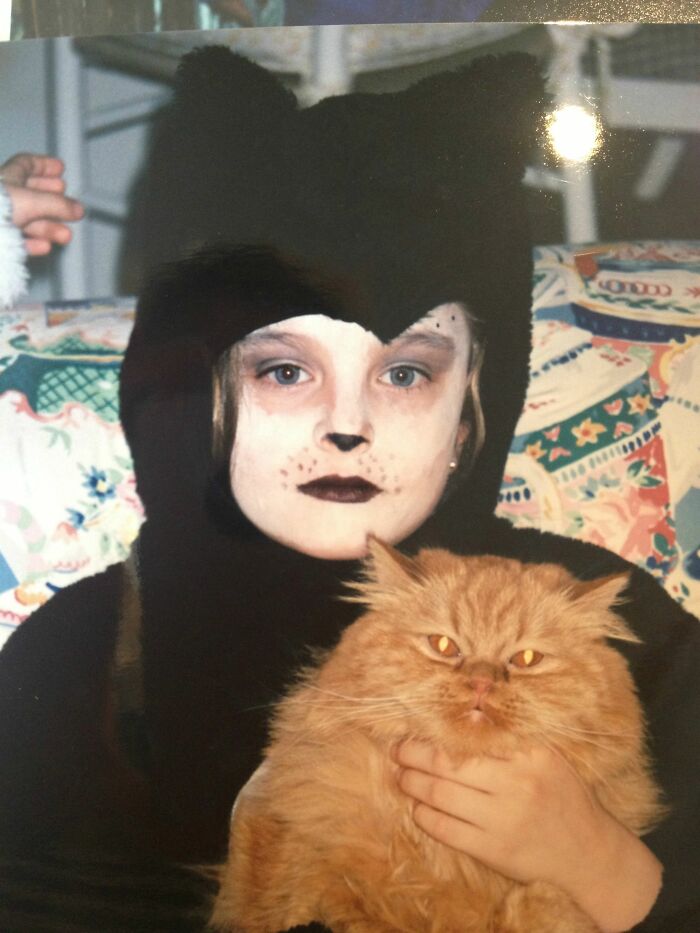 39 Times Family Photos With Cats Went Hilariously Wrong, As Shared By This Page