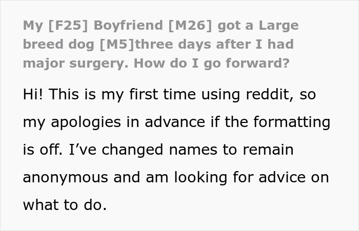Boyfriend Gets A Large Dog While Girlfriend Recovers From Surgery, Then Loses Her For Good Boyfriend Gets A Large Dog While Girlfriend Recovers From Surgery, Then Loses Her For Good