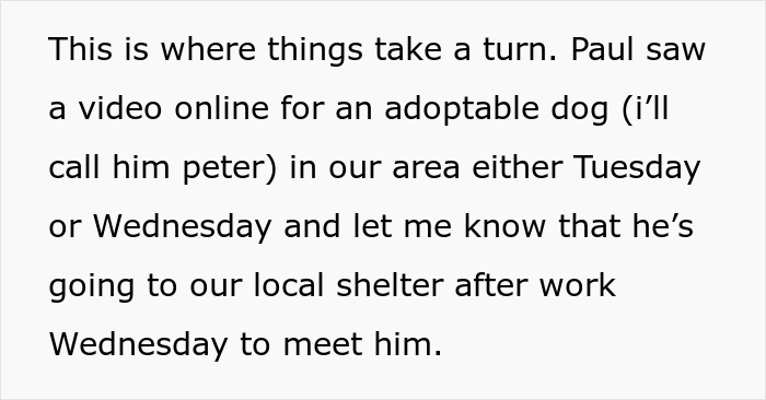Boyfriend Gets A Large Dog While Girlfriend Recovers From Surgery, Then Loses Her For Good Boyfriend Gets A Large Dog While Girlfriend Recovers From Surgery, Then Loses Her For Good