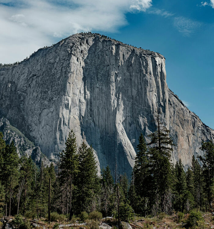 Dad Gets Child Protective Services Called On Him After Climbing Yosemite’s El Capitan With His 7-Year-Old Son Dad Gets Child Protective Services Called On Him After Climbing Yosemite’s El Capitan With His 7-Year-Old Son