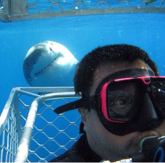 84 Photos Where Something In The Background Completely Hijacked The Moment (New Pics) 84 Photos Where Something In The Background Completely Hijacked The Moment (New Pics)