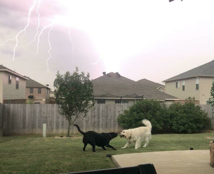 84 Photos Where Something In The Background Completely Hijacked The Moment (New Pics) 84 Photos Where Something In The Background Completely Hijacked The Moment (New Pics)