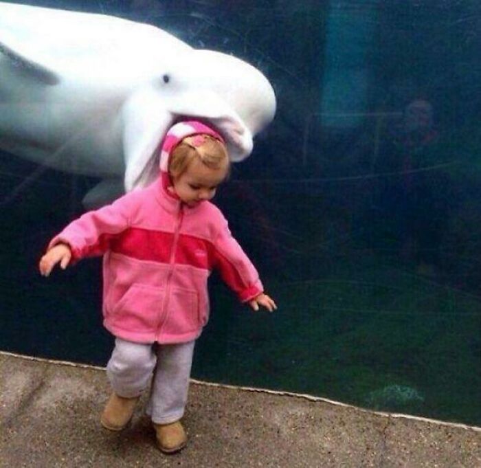 84 Photos Where Something In The Background Completely Hijacked The Moment (New Pics) 84 Photos Where Something In The Background Completely Hijacked The Moment (New Pics)