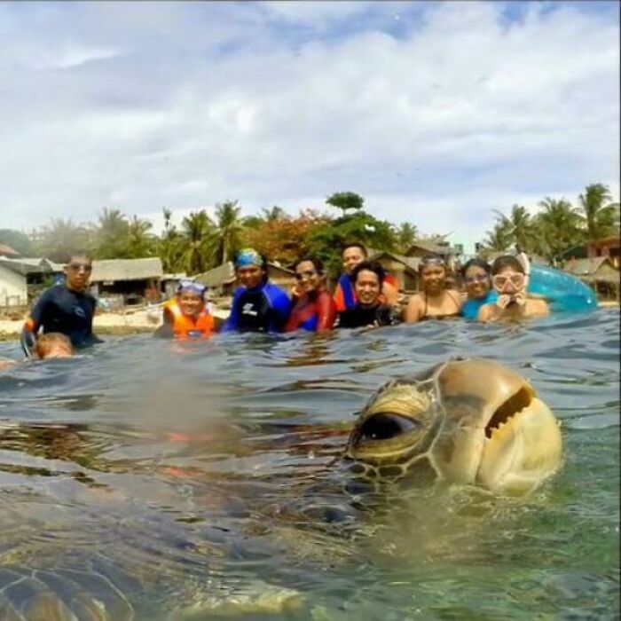 84 Photos Where Something In The Background Completely Hijacked The Moment (New Pics) 84 Photos Where Something In The Background Completely Hijacked The Moment (New Pics)