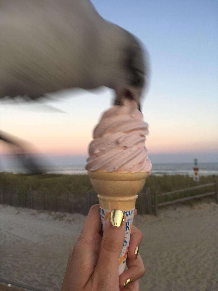 84 Photos Where Something In The Background Completely Hijacked The Moment (New Pics) 84 Photos Where Something In The Background Completely Hijacked The Moment (New Pics)