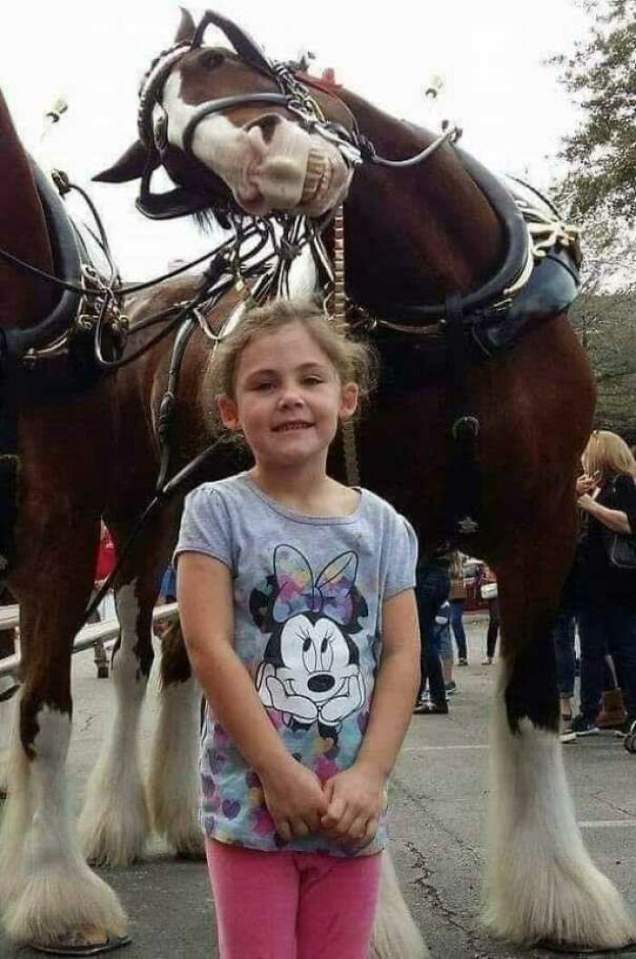 84 Photos Where Something In The Background Completely Hijacked The Moment (New Pics) 84 Photos Where Something In The Background Completely Hijacked The Moment (New Pics)