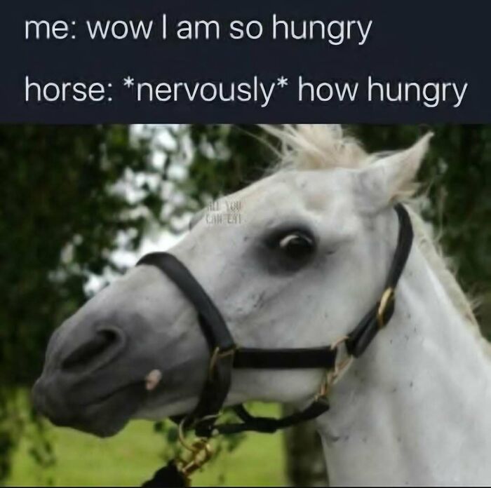 76 Out-Of-Context Pics That Somehow Get Funnier The Less You Know