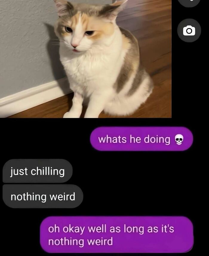 76 Out-Of-Context Pics That Somehow Get Funnier The Less You Know
