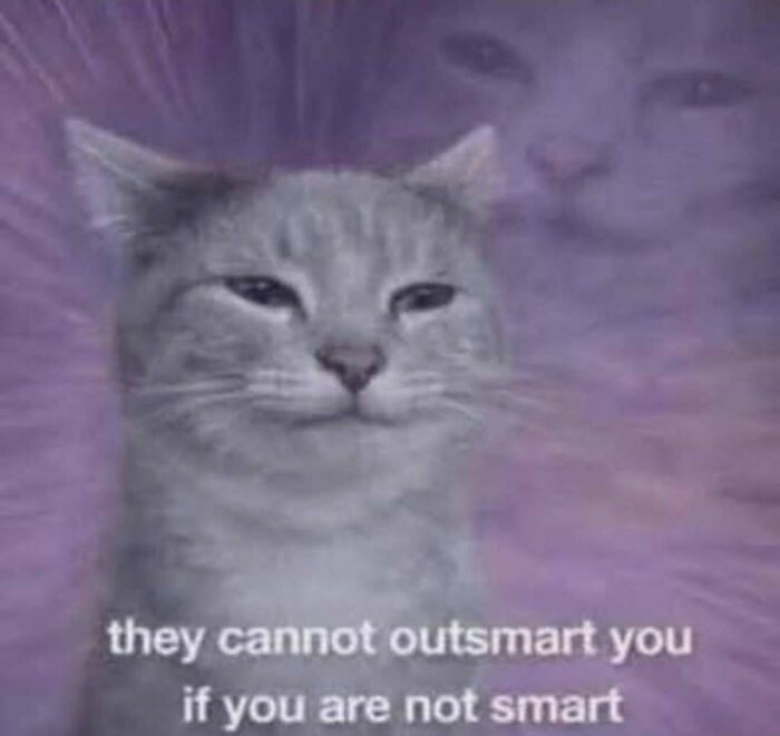76 Out-Of-Context Pics That Somehow Get Funnier The Less You Know
